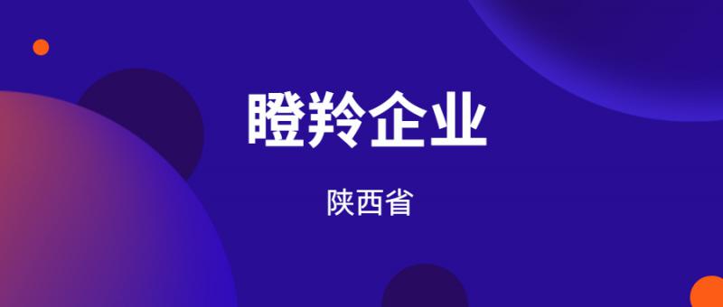 陜西省科學(xué)技術(shù)廳關(guān)于修訂印發(fā)《陜西省瞪羚企業(yè)培育認(rèn)定實(shí)施方案》的通知